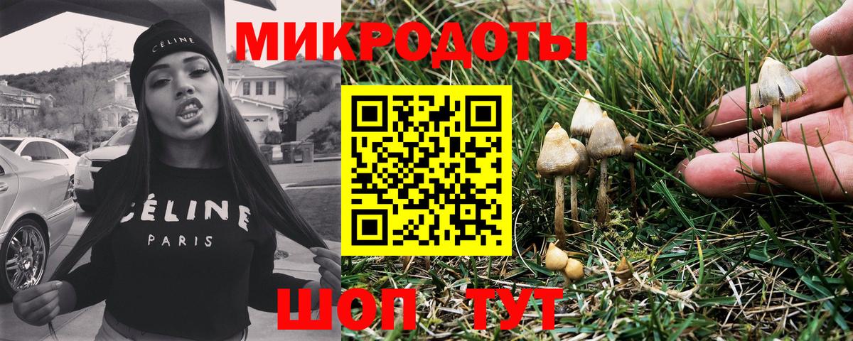 Галлюциногенные грибы Psilocybine cubensis Уварово