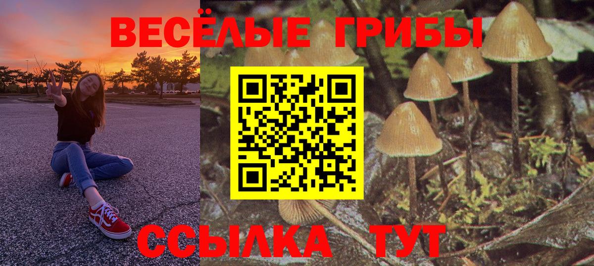 Галлюциногенные грибы Psilocybe  Псилоцибиновые грибы MAGIC MUSHROOMS  Уварово  Вход с VPN 